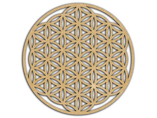 Mandala 49 Flor da Vida