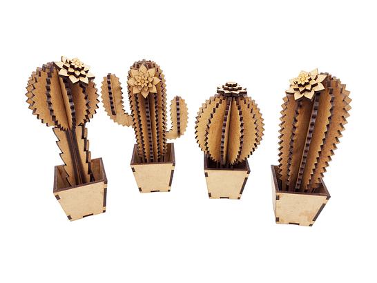 Cactos